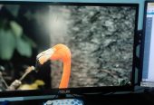 ASUS VZ229HE 21.5 Inch IPS Borderless Slim Monitor (no warranty)