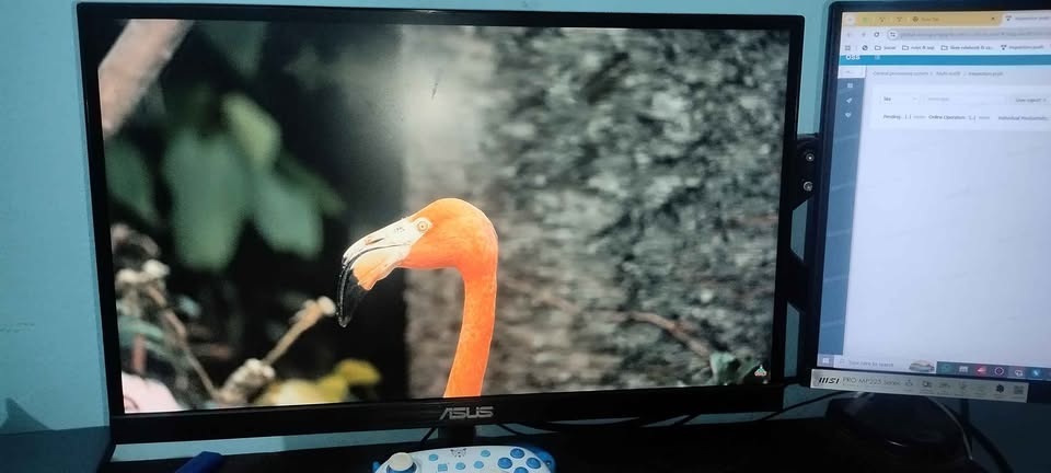 ASUS VZ229HE 21.5 Inch IPS Borderless Slim Monitor (no warranty)