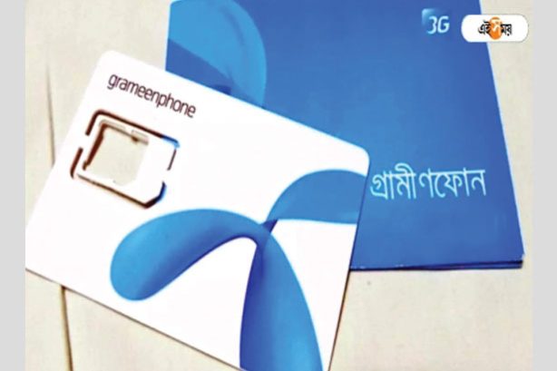 Grameen SIM 01711