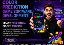 color-prediction-game-software-1-1