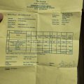 Singer 1.5 Tone Green Inverter