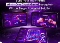 Build-a-Complete-Crash-Game-Ecosystem-with-a-Single-Powerful-Solution2