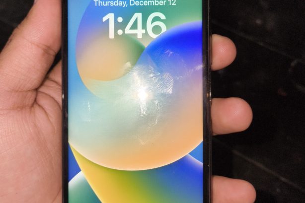 iPhone X (256gb)