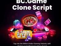 Who Can Use Plurance’s WhiteLabel BC.Game Clone Script to Scale Fast?