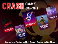 Ready-Made Crash Game Script to Kickstart Your Gaming Business