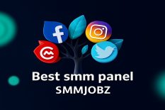 SMMJOBZ – Best smm panel