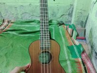 বিক্রি হবে – একদম নতুন Ukulele (TGN ব্র্যান্ড) 🎶