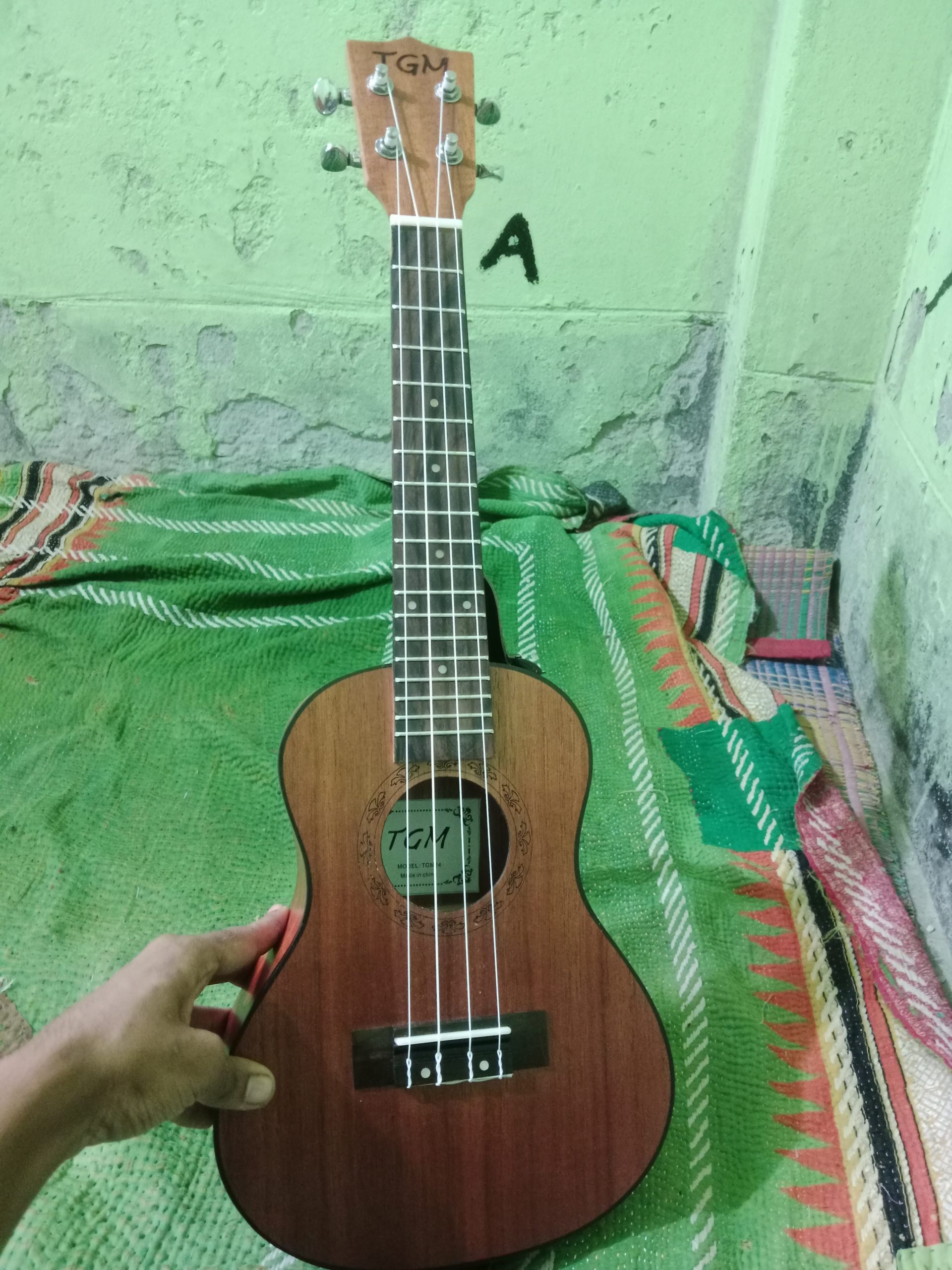 বিক্রি হবে – একদম নতুন Ukulele (TGN ব্র্যান্ড) 🎶
