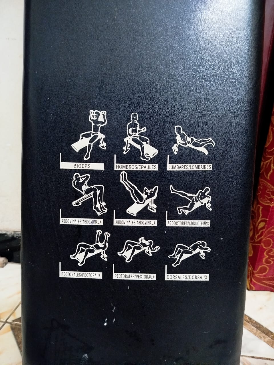 Multi Function Sit Up Bench