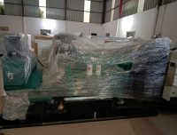 250 kVA Lambert Diesel Generator for Sale – Heavy-Duty & Reliable ⚡