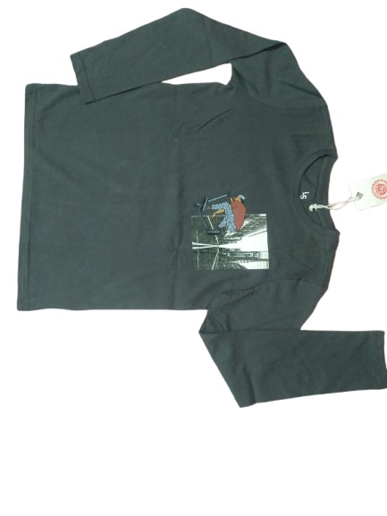 Boys Printed Full Sleeve Tshirt.