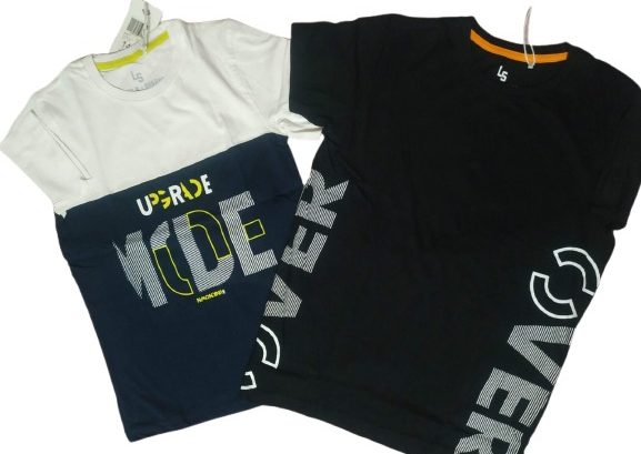 Boys Short sleeve Printed Tshirt