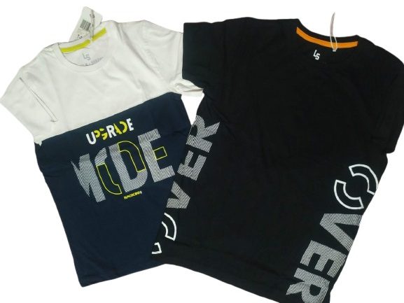 Boys Short sleeve Printed Tshirt