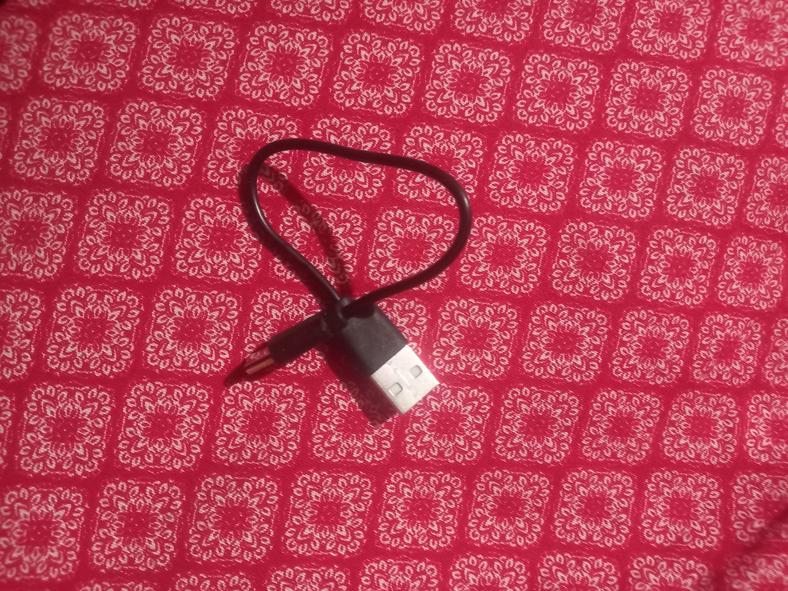 JBL Speaker Charger + Box