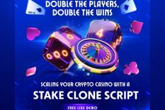 WhiteLabel Stake Clone Software to Launch Your Crypto Casino Without Limits
