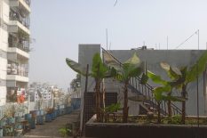 সবুজ অক্সিজেনের ফ্ল্যাট