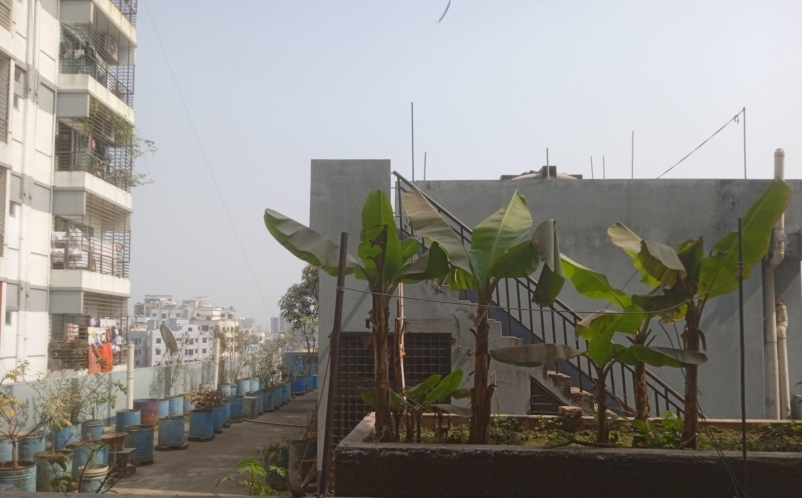 সবুজ অক্সিজেনের ফ্ল্যাট